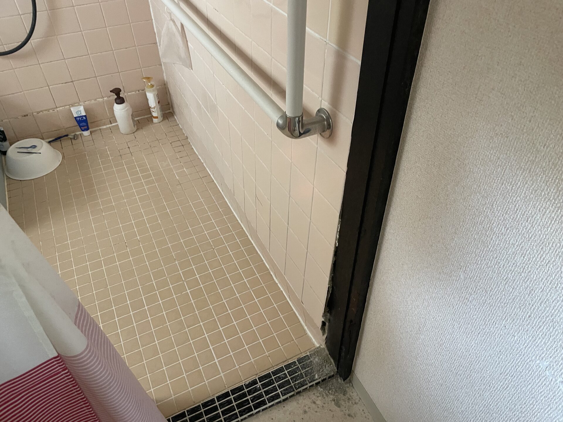 Before Image
